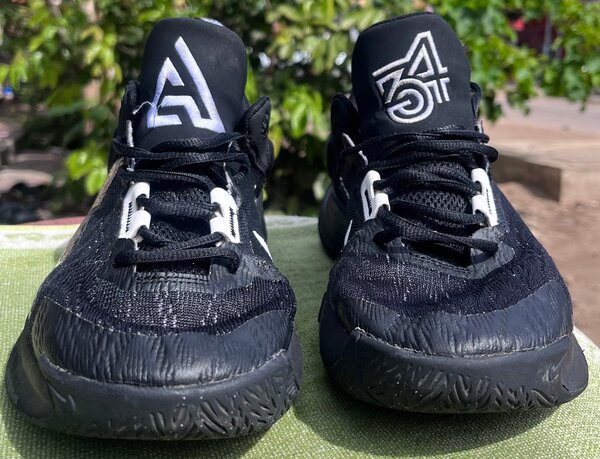 Nike Giannis Immortality 2 No