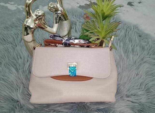 Ladies handbags