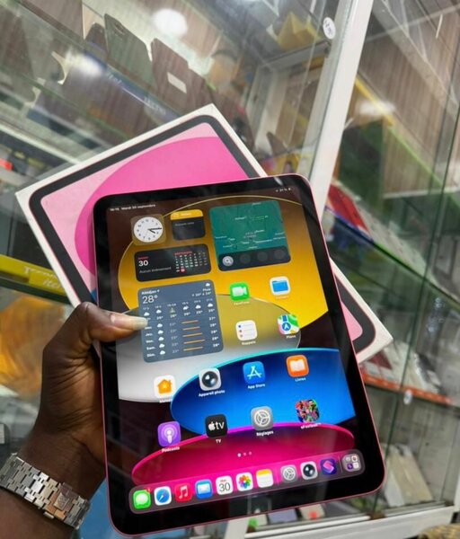 iPad Air Rose Écran Retina