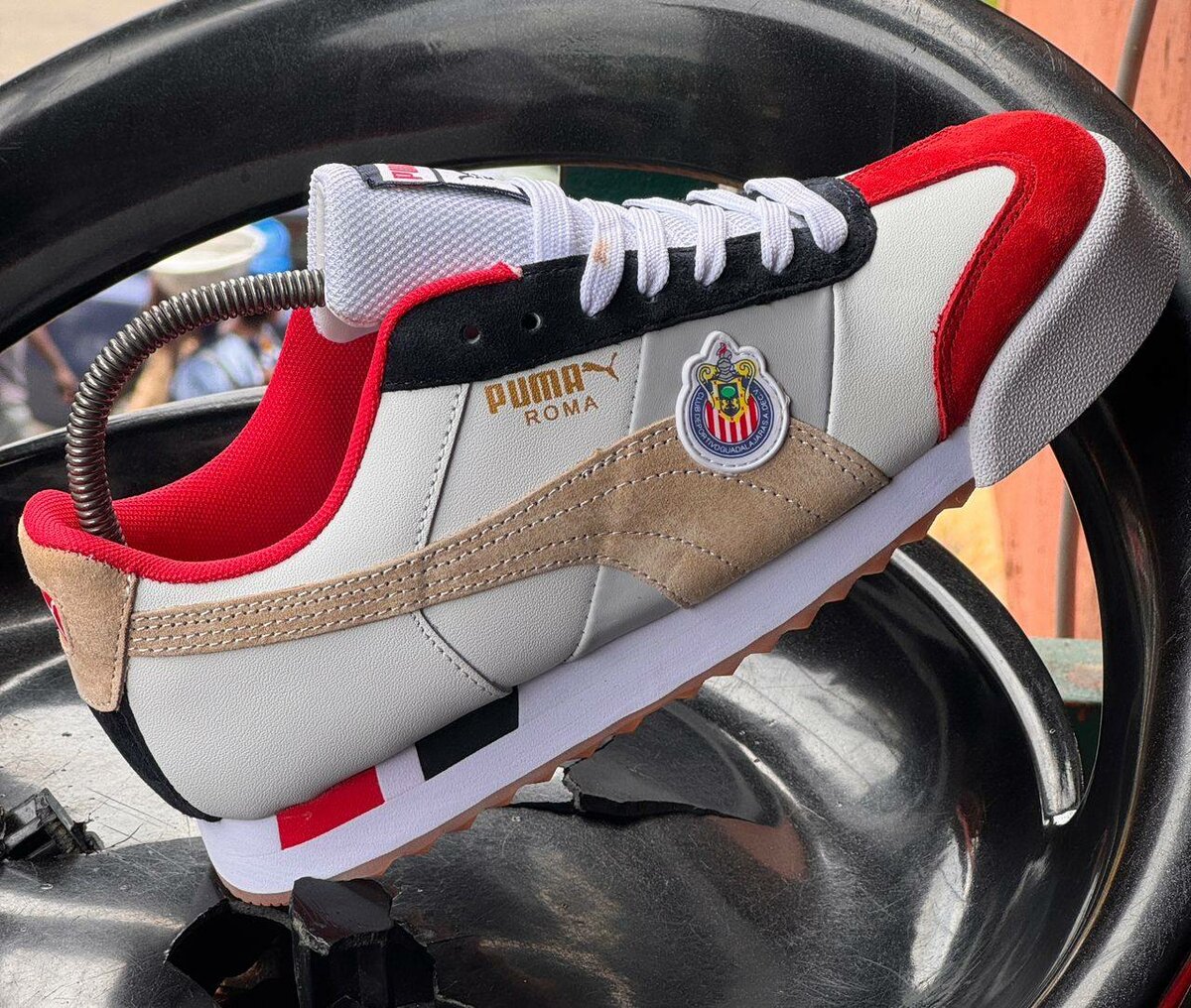 Puma ROMA Deportivo Guadalajara