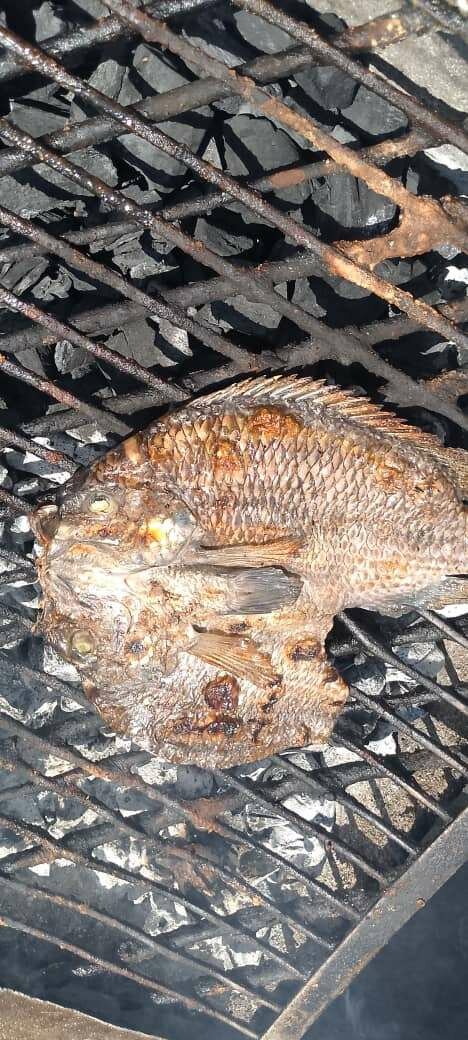 Roasted fish