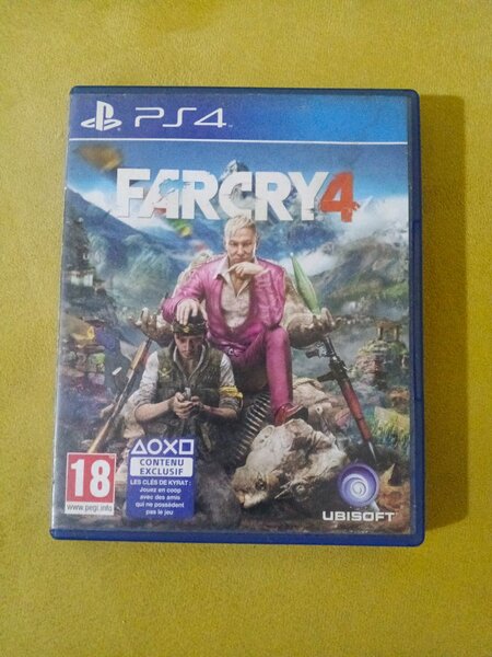 Far Cry 4 pour PS4