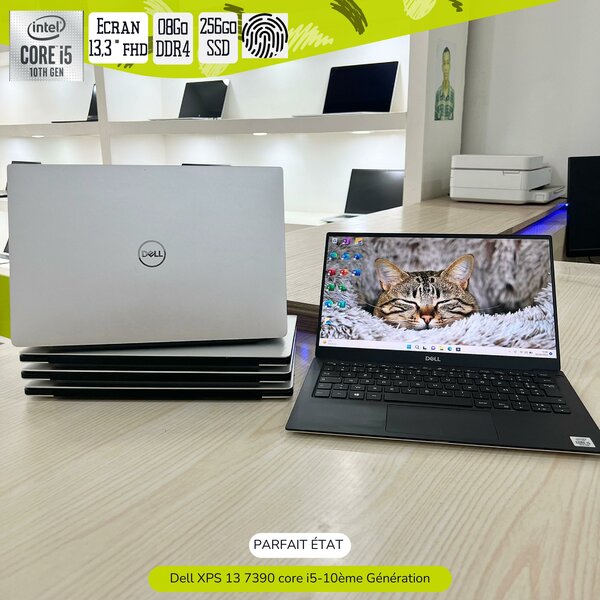 Dell XPS
