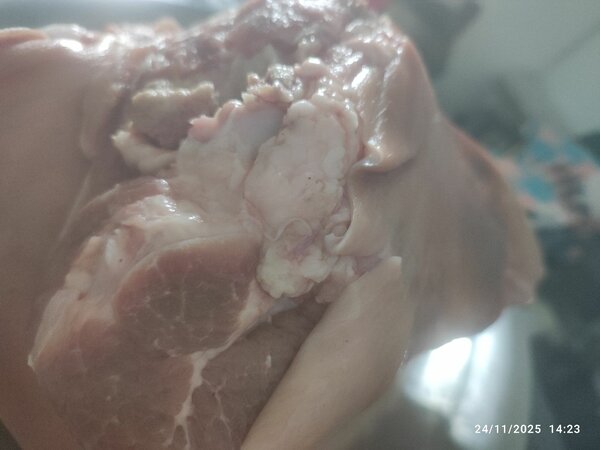 Épaule de porc fraîche