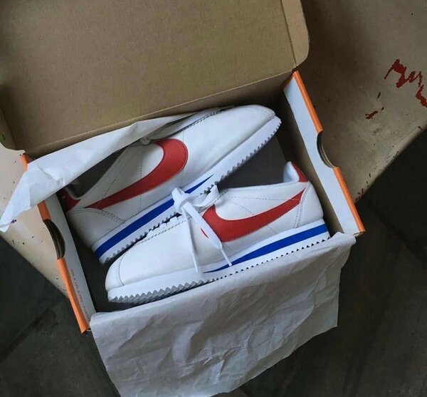 Chaussures de sport iconiques