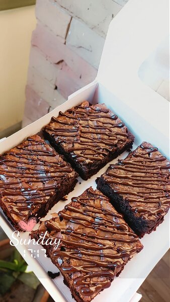Fresh chocolate brownies