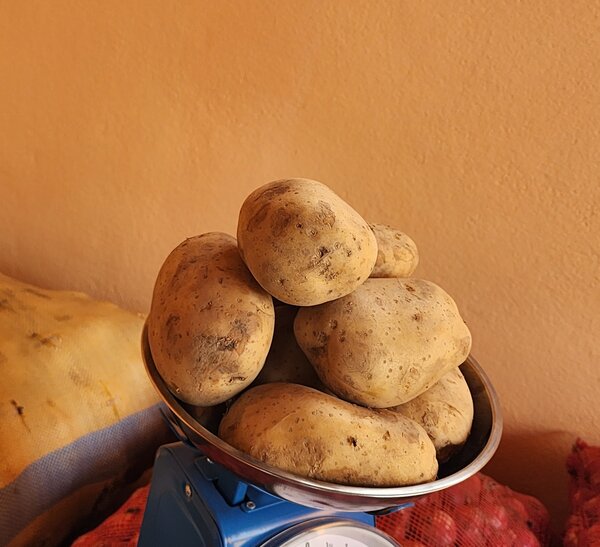 DORK légumes et fruits