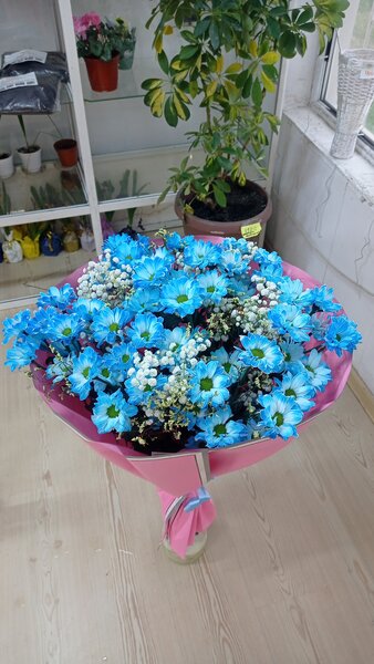 Яркие и насыщенные хризантемы