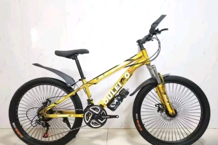 Vélo VTT Tout Terrain