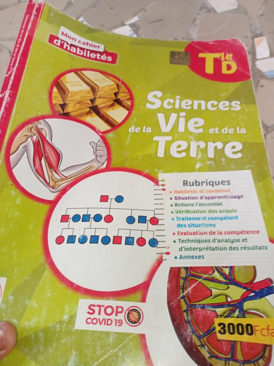 Cahier d'habiletés SVT