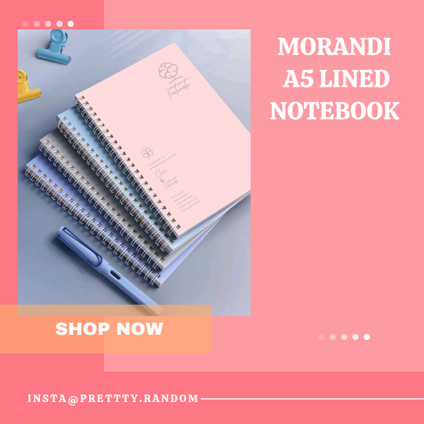 Morandi Notebook