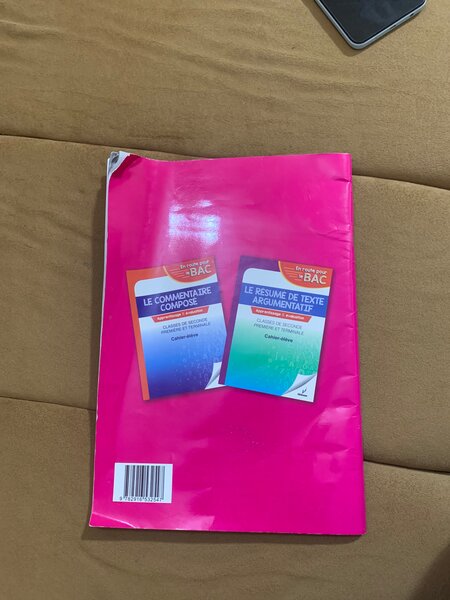 La Dissertation Littéraire