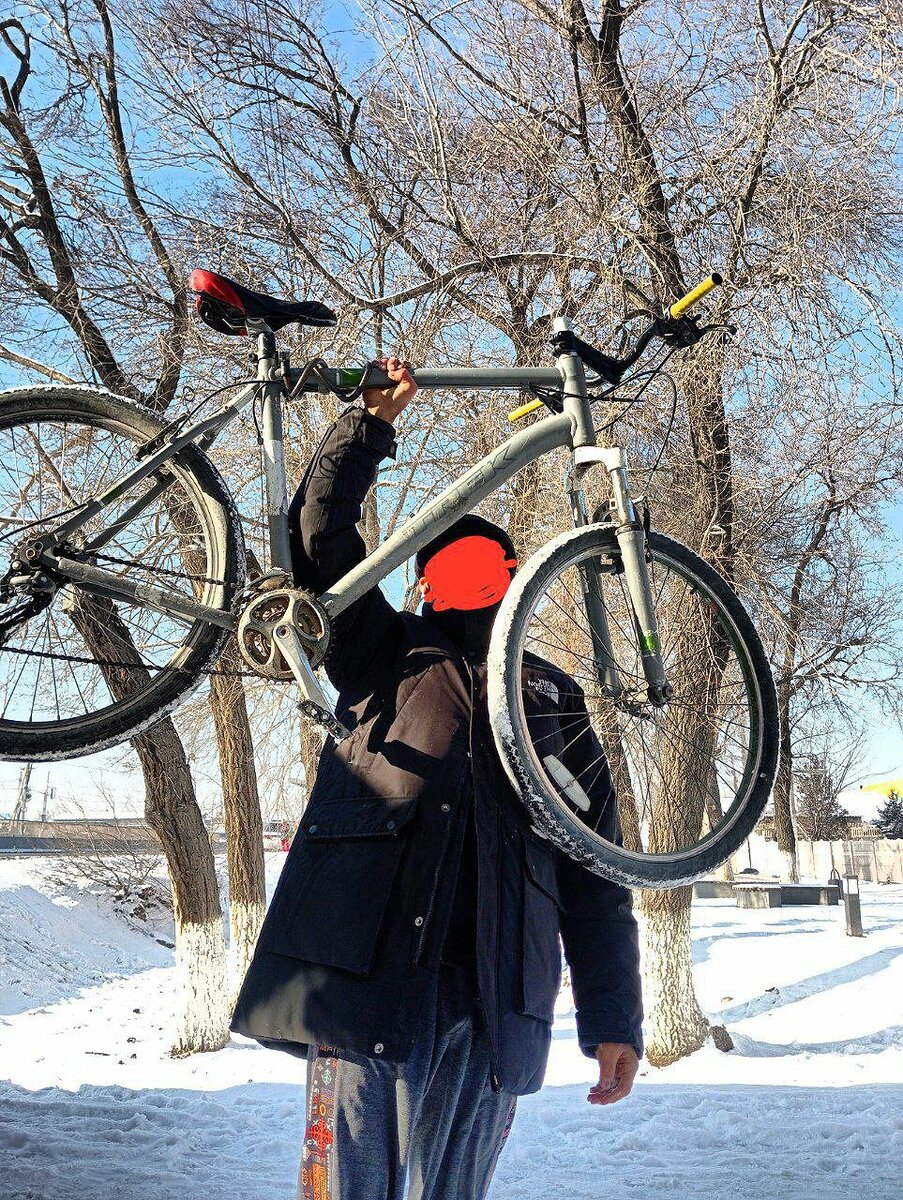 Оригинальный TREK M3700