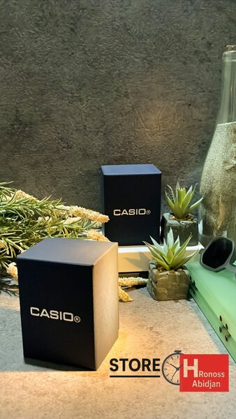 Montre Casio Classique Homme