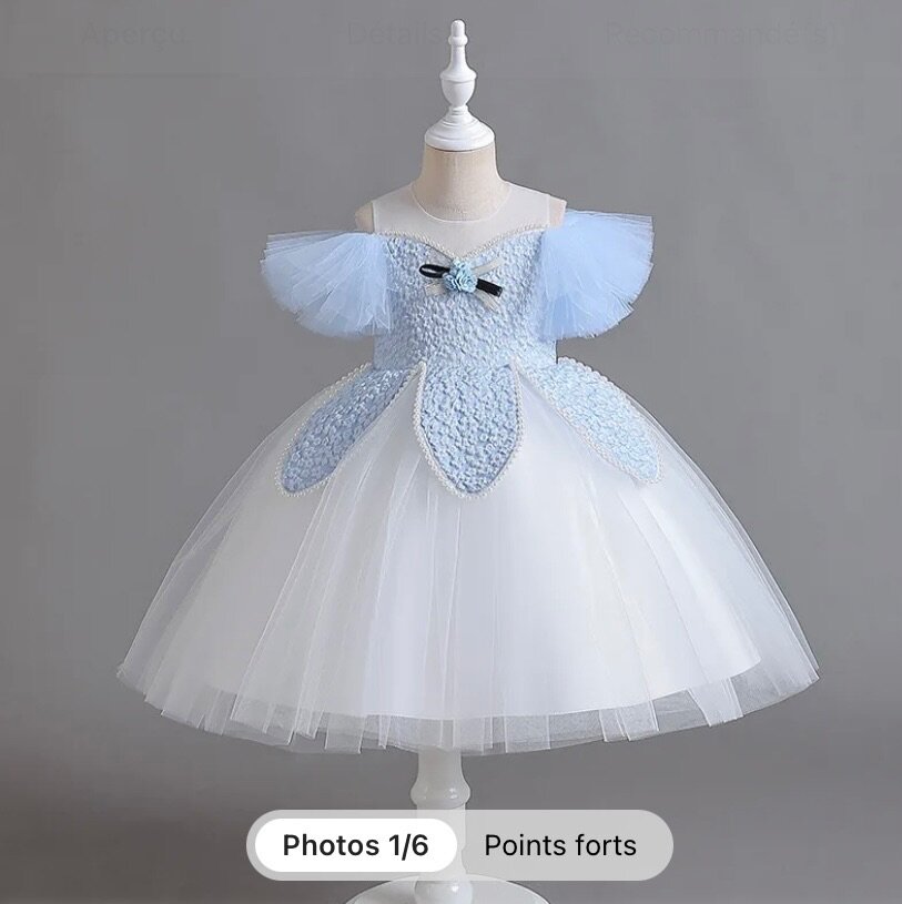 Robe de princesses