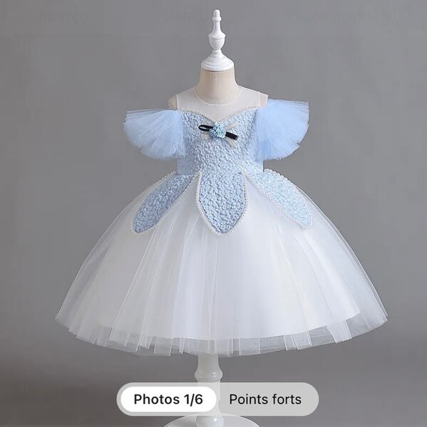 Robe de princesses