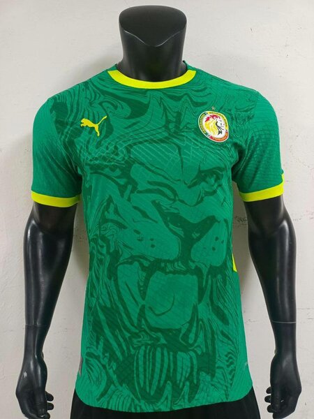 Maillot Équipe Sénégal