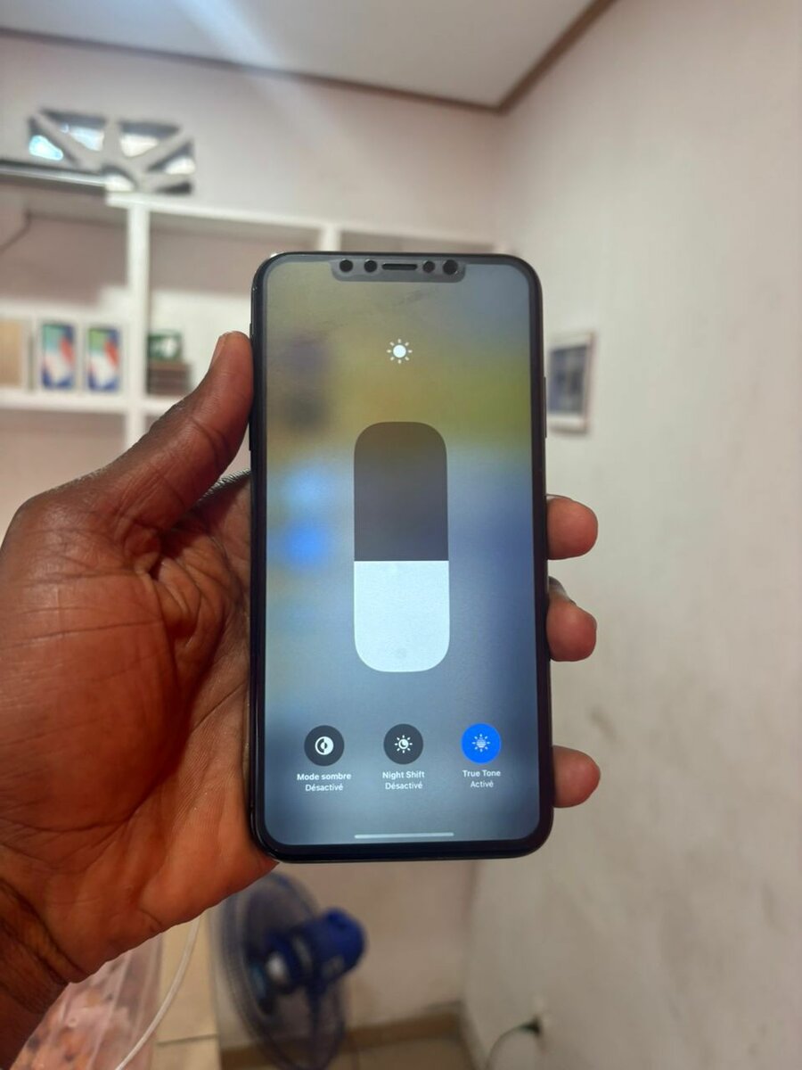 XS MAX 256Go sans ID