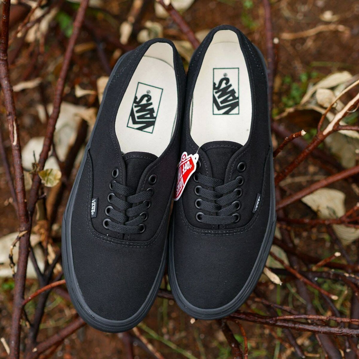 Baskets Vans noires unisexes