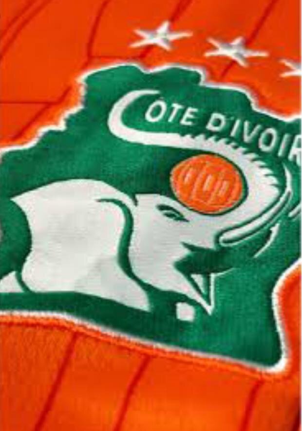 Maillot Puma Côte d'Ivoire