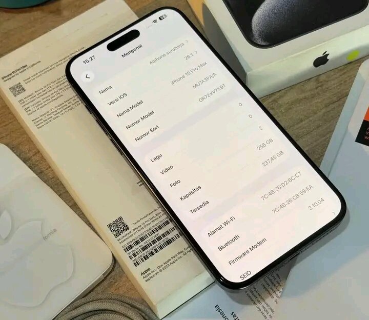 iPhone Pro Max 256 Go
