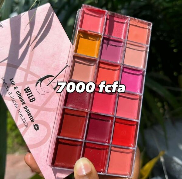 Palette à lèvres colorée