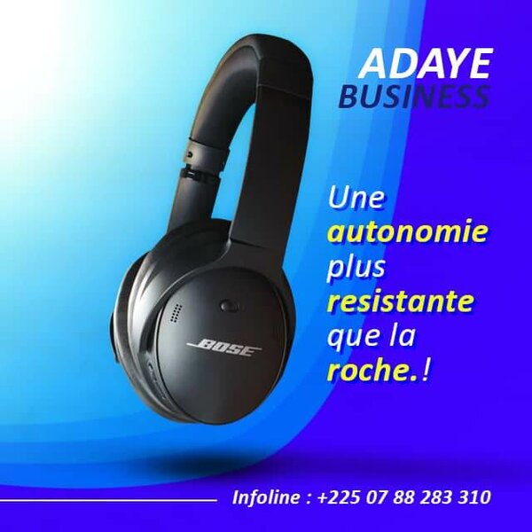 Adayebusiness 