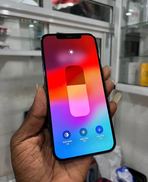 iPhone 12 Pro Max 256GB Bleu