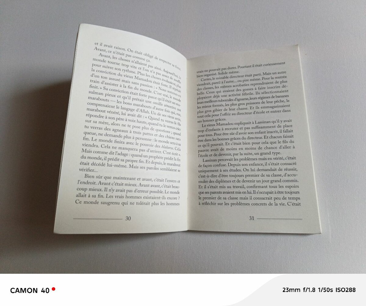 Sous le pouvoir des blakoros