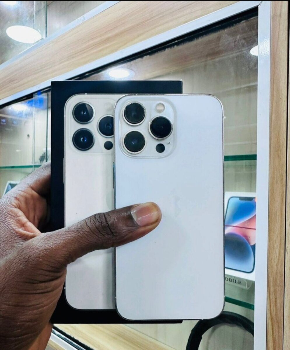 iPhone 13 Pro Max 256GB