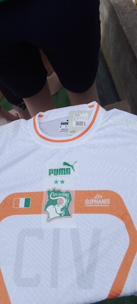 Maillot des éléphants de Côte d'Ivoire