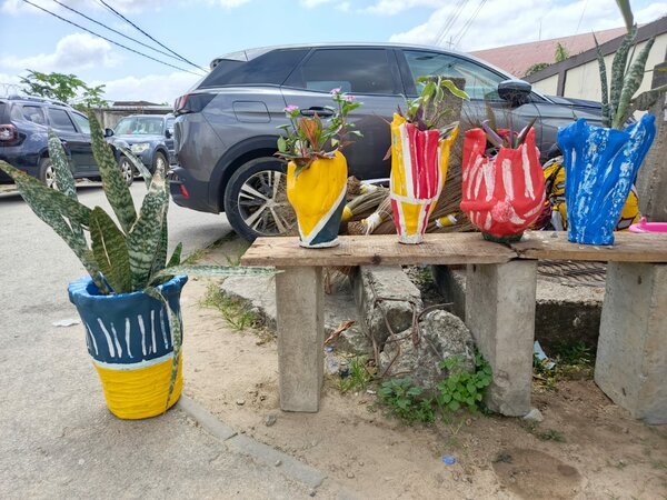 Pots de fleurs colorés