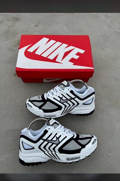 Nike pegasus 2k5