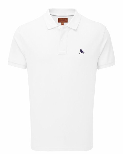 Men polo t shirt