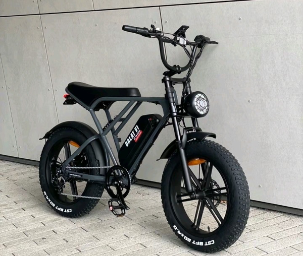 Vélo électrique robuste