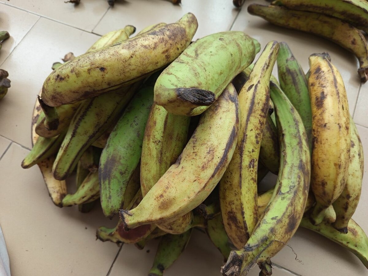Banane plantain