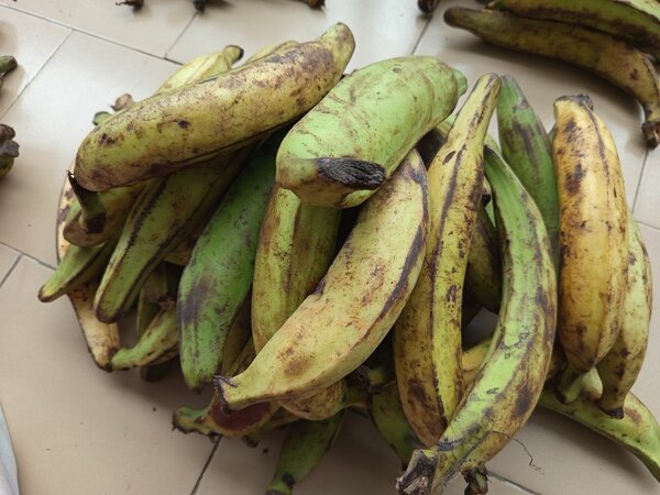 Banane plantain