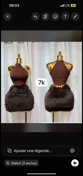 Robe élégante en fourrure