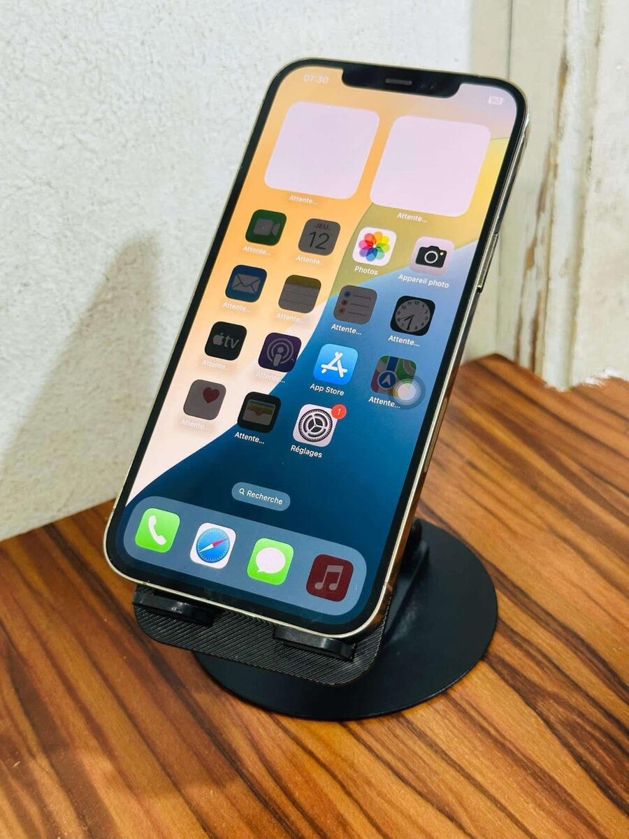 iPhone 12 Pro Max 128gb ( vendu avec reçu