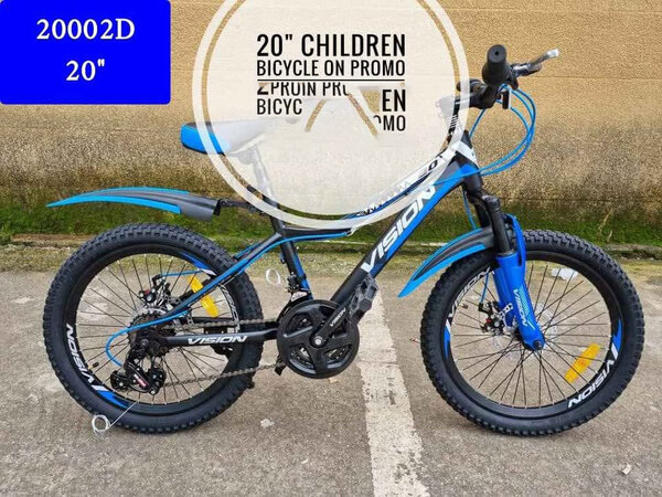 Children bicycle 20002D