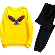 Sweat shirts and trouser