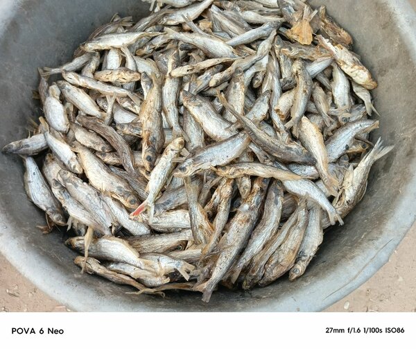 Nkolokolo and white fish