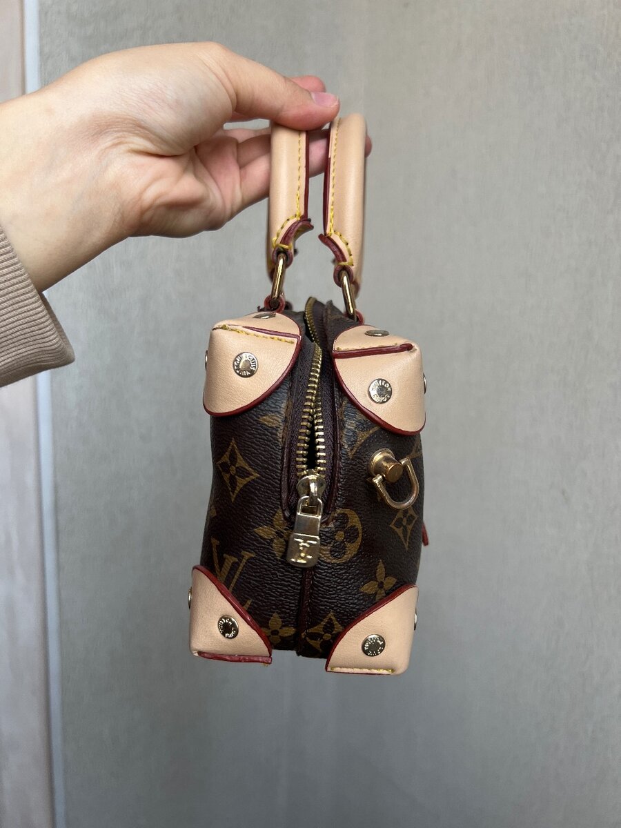 Сумка Louis Vuıtton