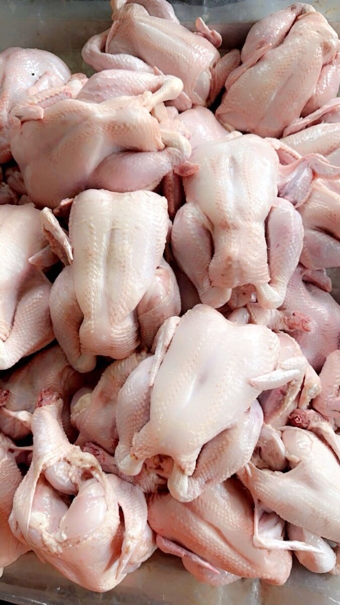 Poulet Frais Prêt à Cuisiner