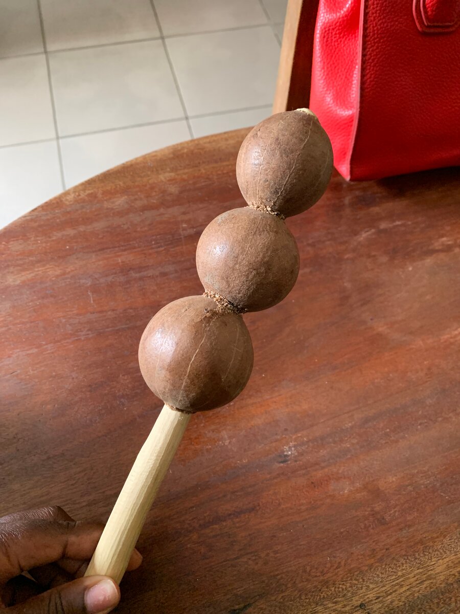 Maracase en bois naturel