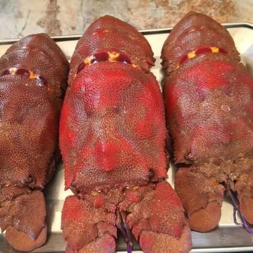 Cigales et langouste