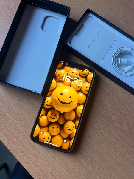 Apple iPhone 12 Pro Max