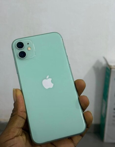 iPhone 11 Vert 64Go Débloqué