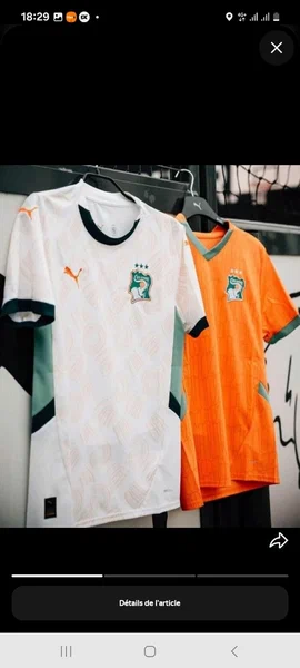 Maillot Côte d'Ivoire