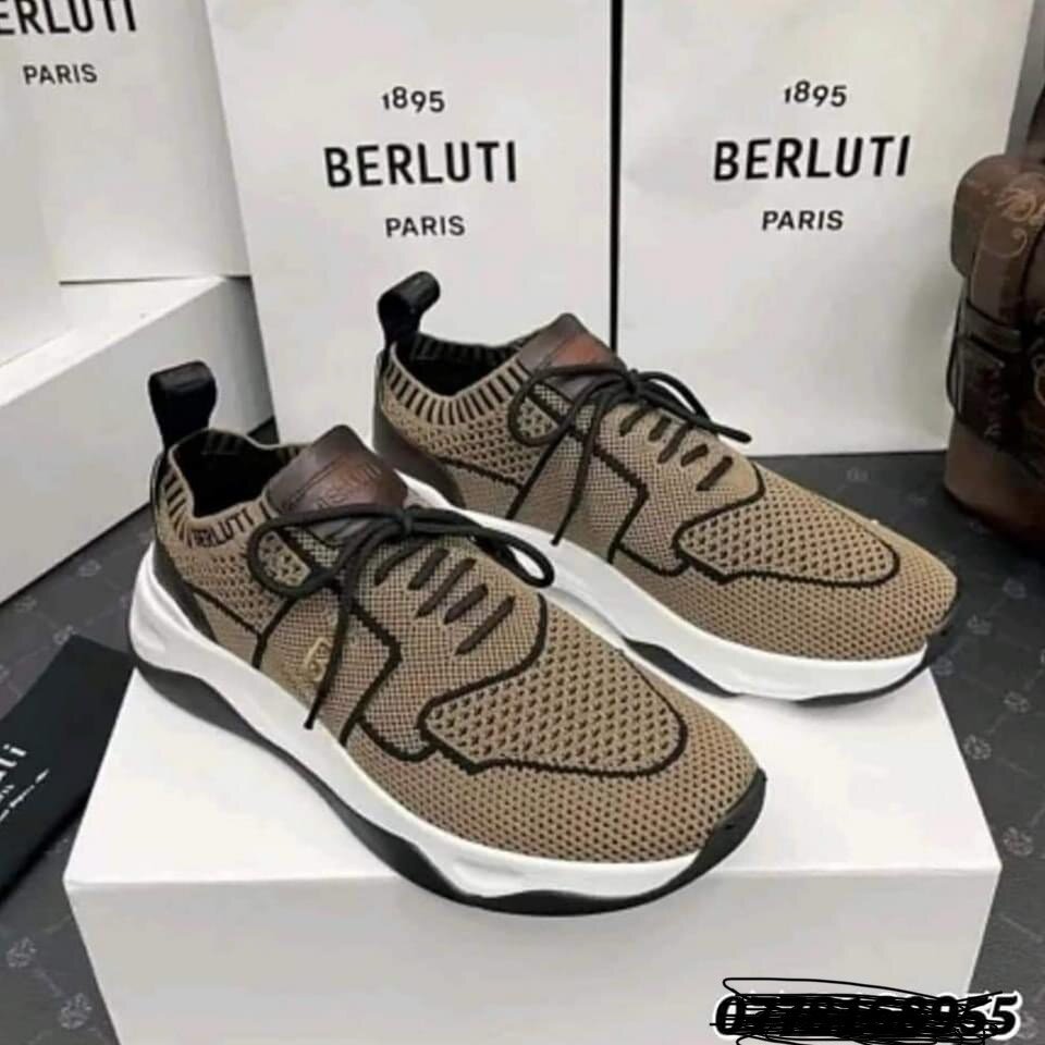 Chaussure berluti
